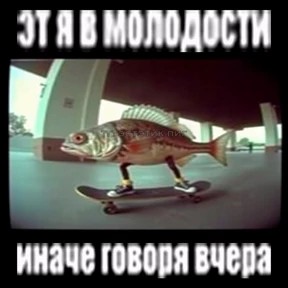 Для важных переговоров — стикер для MAX
