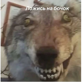 Для важных переговоров — стикер для MAX