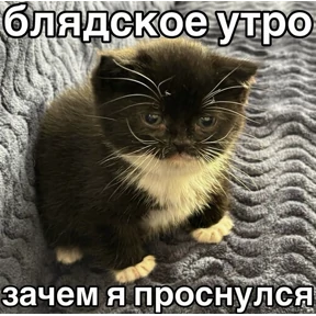 Нервничать — стикер для MAX