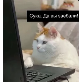 Нервничать — стикер для MAX