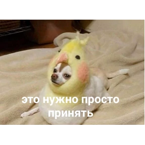 Стики — стикер для MAX