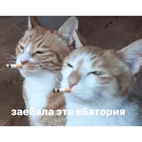 Стики — стикер для MAX