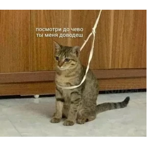 Стики — стикер для MAX