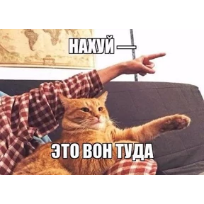 Диализ — стикер для MAX