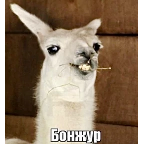 Мемасики — стикер для MAX