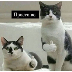 Мемасики — стикер для MAX