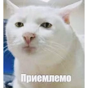 Мемасики — стикер для MAX