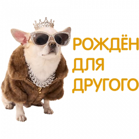 Разное нобор 2 — стикер для MAX