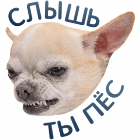 Разное нобор 2 — стикер для MAX