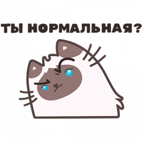 Разное нобор 2 — стикер для MAX