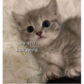 Пиу пиу — стикер для MAX