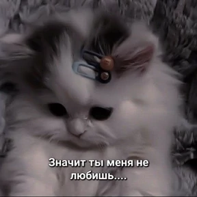 Пиу пиу — стикер для MAX