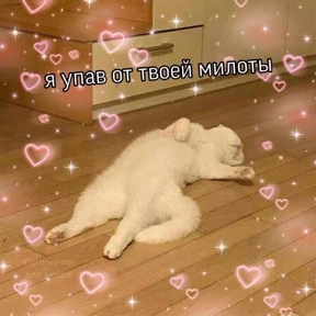 Пиу пиу — стикер для MAX