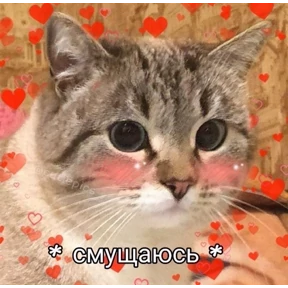 Пиу пиу — стикер для MAX