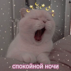 Пиу пиу — стикер для MAX