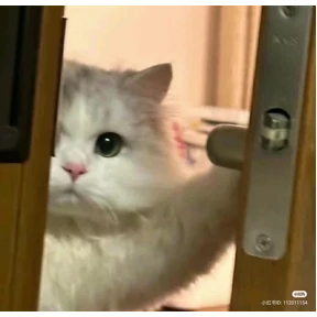Пиу пиу — стикер для MAX