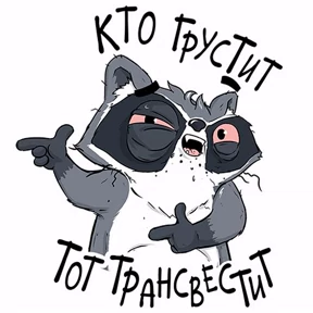 Енотик и Лис — стикер для MAX