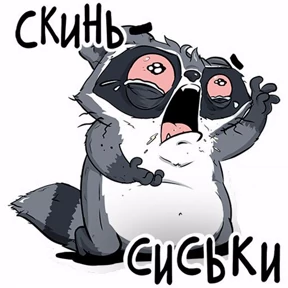 Енотик и Лис — стикер для MAX