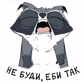 Енотик и Лис — стикер для MAX