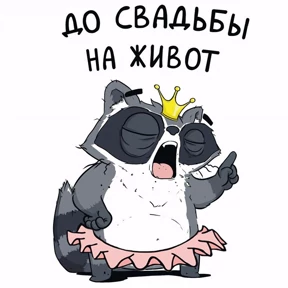 Енотик и Лис — стикер для MAX
