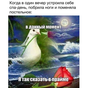 мемы диз — стикер для MAX