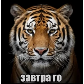 мемы диз — стикер для MAX