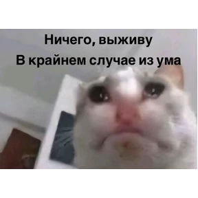 мемы диз — стикер для MAX