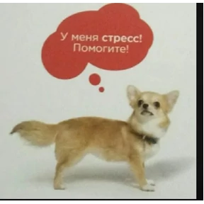 Тчк — стикер для MAX