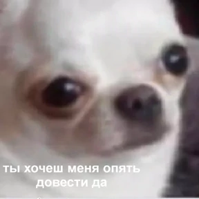 Stiker-like — стикер для MAX