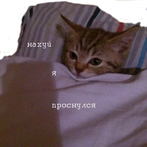 Stiker-like — стикер для MAX