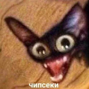 Stiker-like — стикер для MAX
