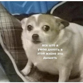 Stiker-like — стикер для MAX