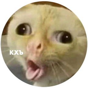 Stiker-like — стикер для MAX