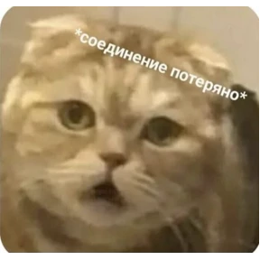 Ыы — стикер для MAX