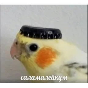 Ыы — стикер для MAX
