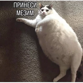 Ыы — стикер для MAX