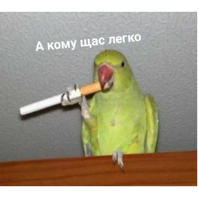 Ыы — стикер для MAX