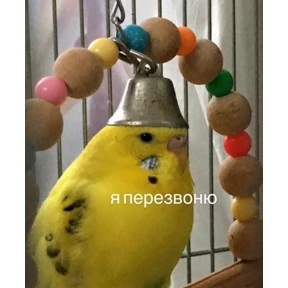 Ыы — стикер для MAX