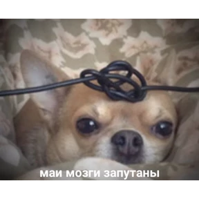 Ыы — стикер для MAX