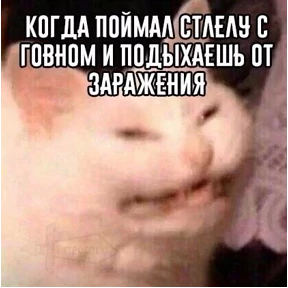 Набор 1 — стикер для MAX
