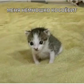 Мемасики — стикер для MAX