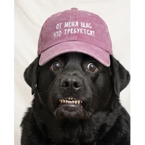 Bitch — стикер для MAX