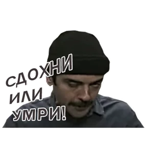 Внутри Лапенко — стикер для MAX