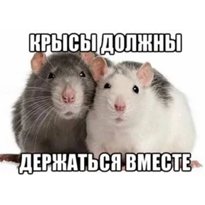 На случай важных переговоров — стикер для MAX