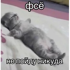 На случай важных переговоров — стикер для MAX