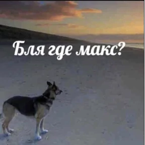 Max Kells пак — стикер для MAX