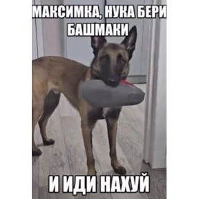 Мяу — стикер для MAX