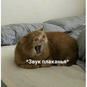 Нервничать — стикер для MAX