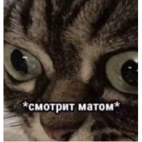Нервничать — стикер для MAX