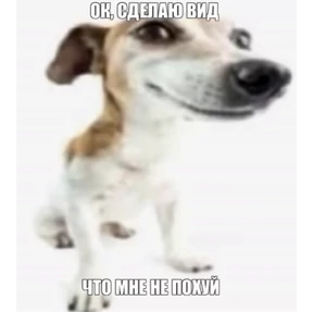 амнямы — стикер для MAX